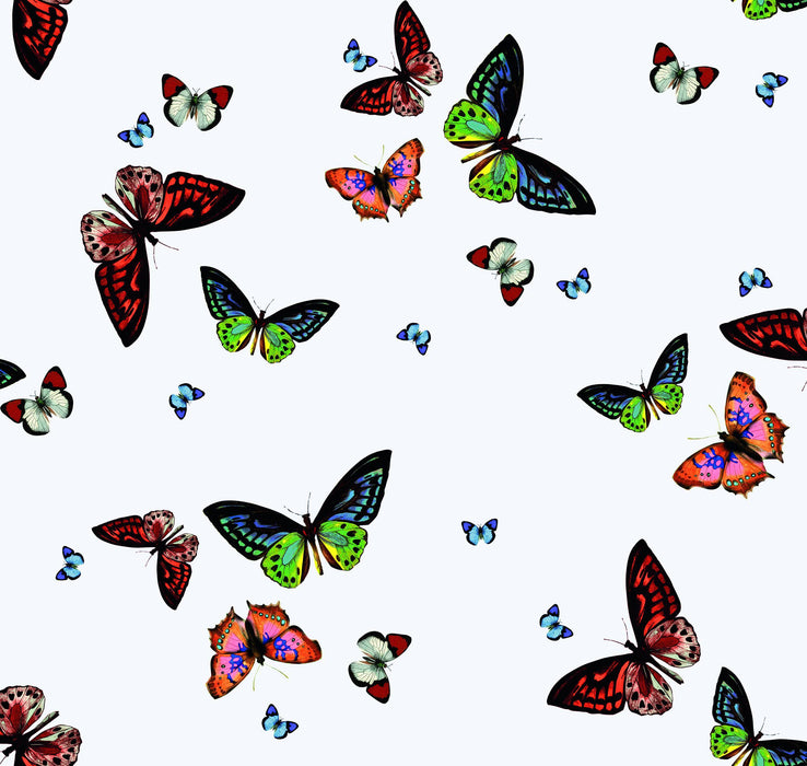 Transparente Folie d-c-fix Schmetterlinge Eckig